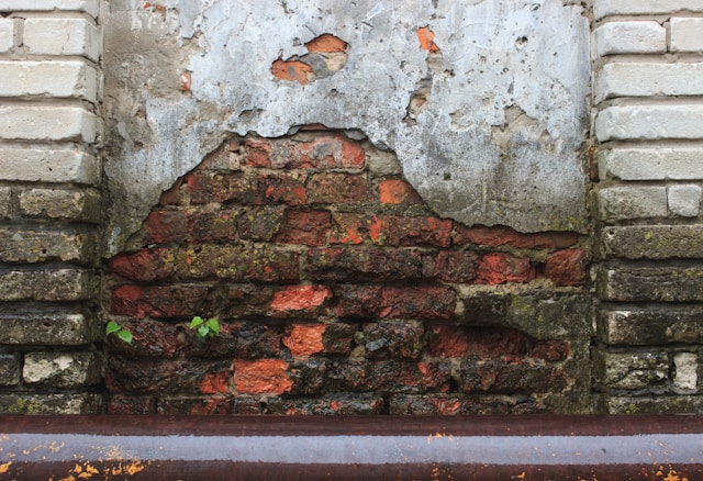 Damp Proofing