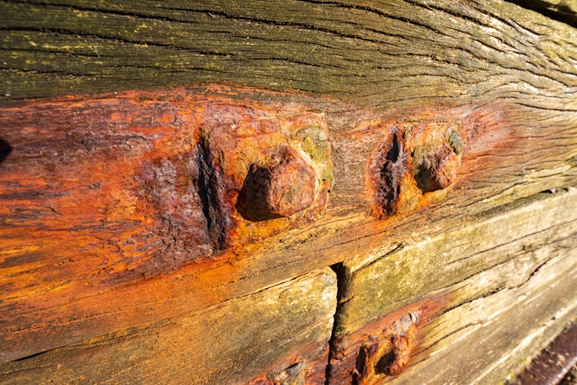Dry Rot Solutions