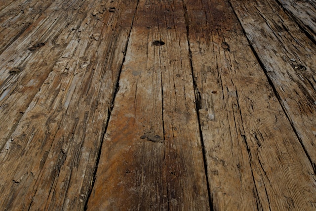 Wet Rot Remediation
