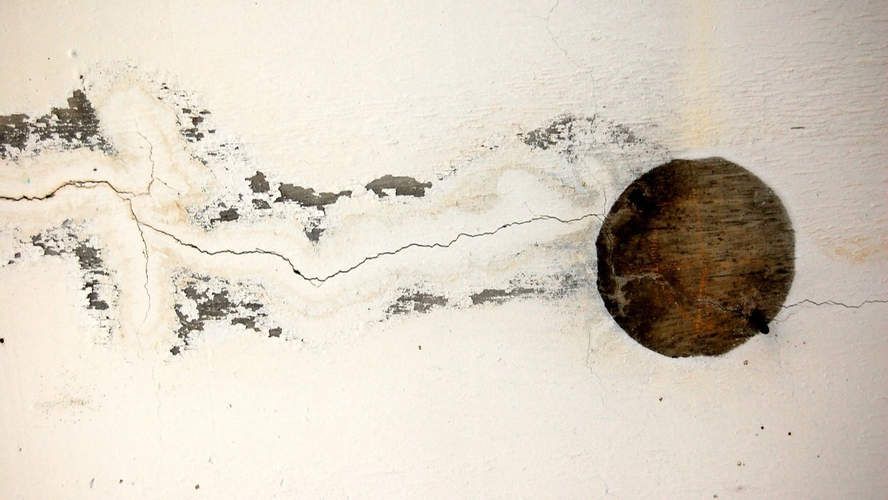 A Comprehensive Analysis of DIY vs Professional Damp Proofing: Evaluating Methods, Effectiveness, and Practical Considerations